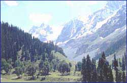 Sonamarg